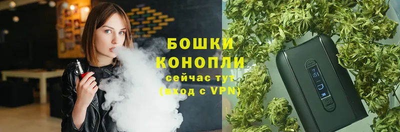 Бошки марихуана THC 21%  Буйнакск 